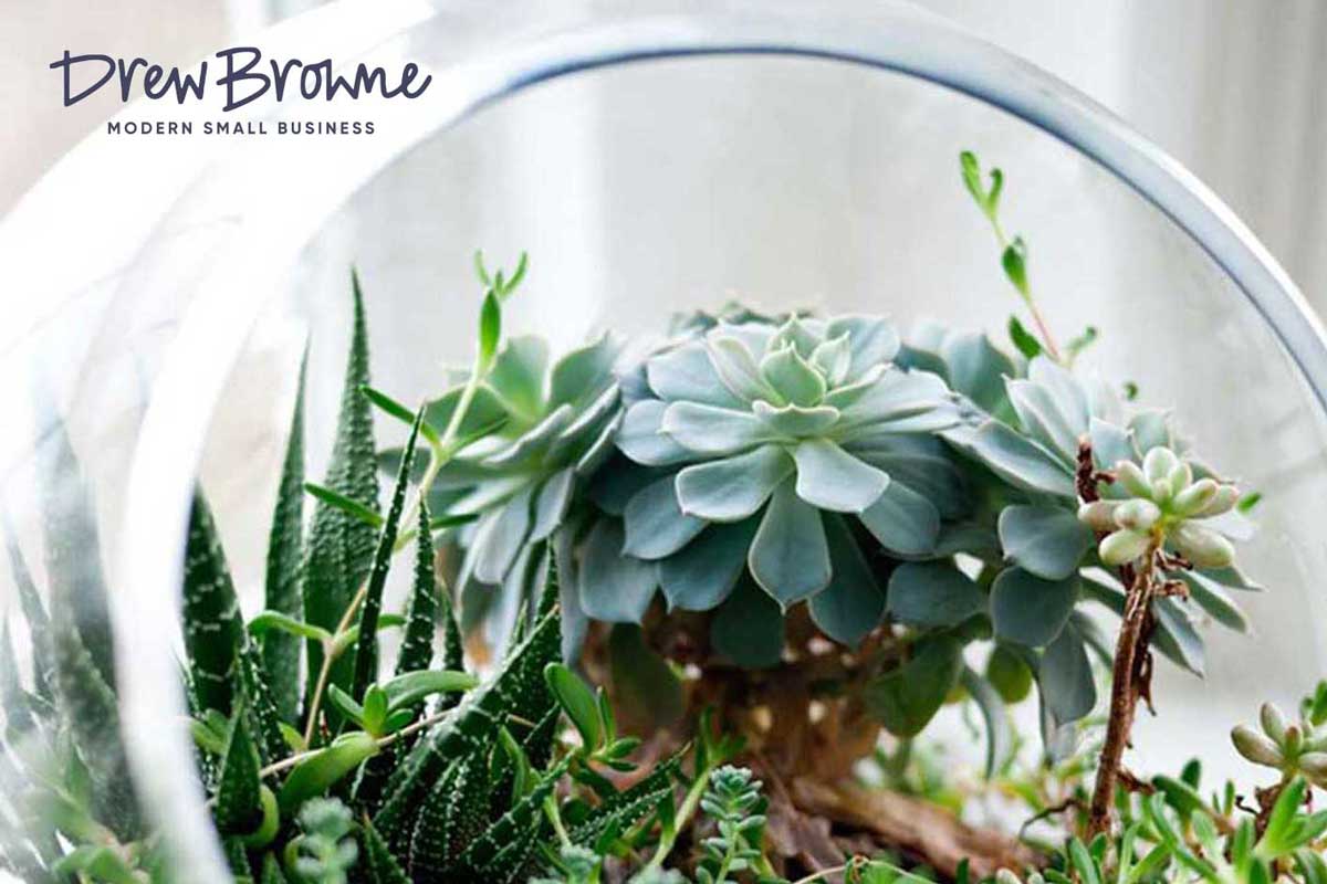 intricate variety of succulents growing together in a plant terrarium