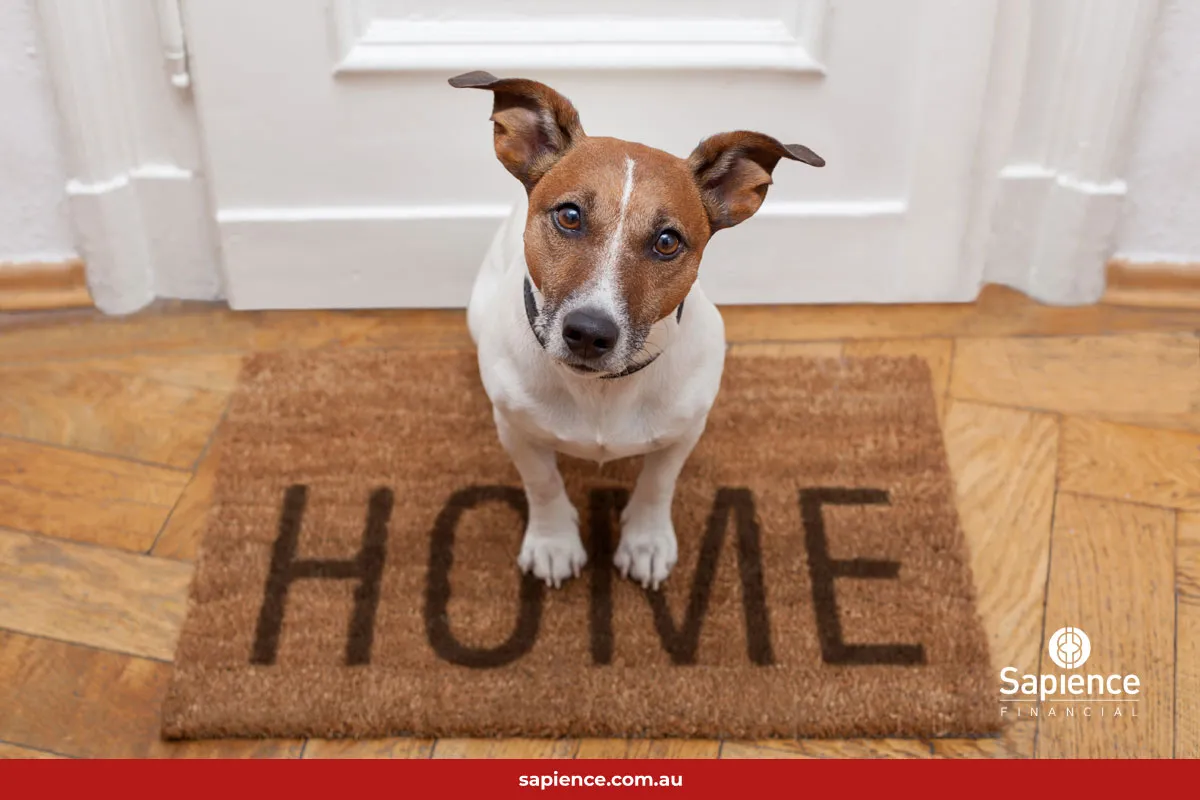 jack russell dog sitting on welcome mat at the front door