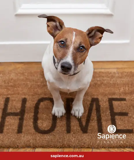 jack russell dog sitting on welcome mat at the front door