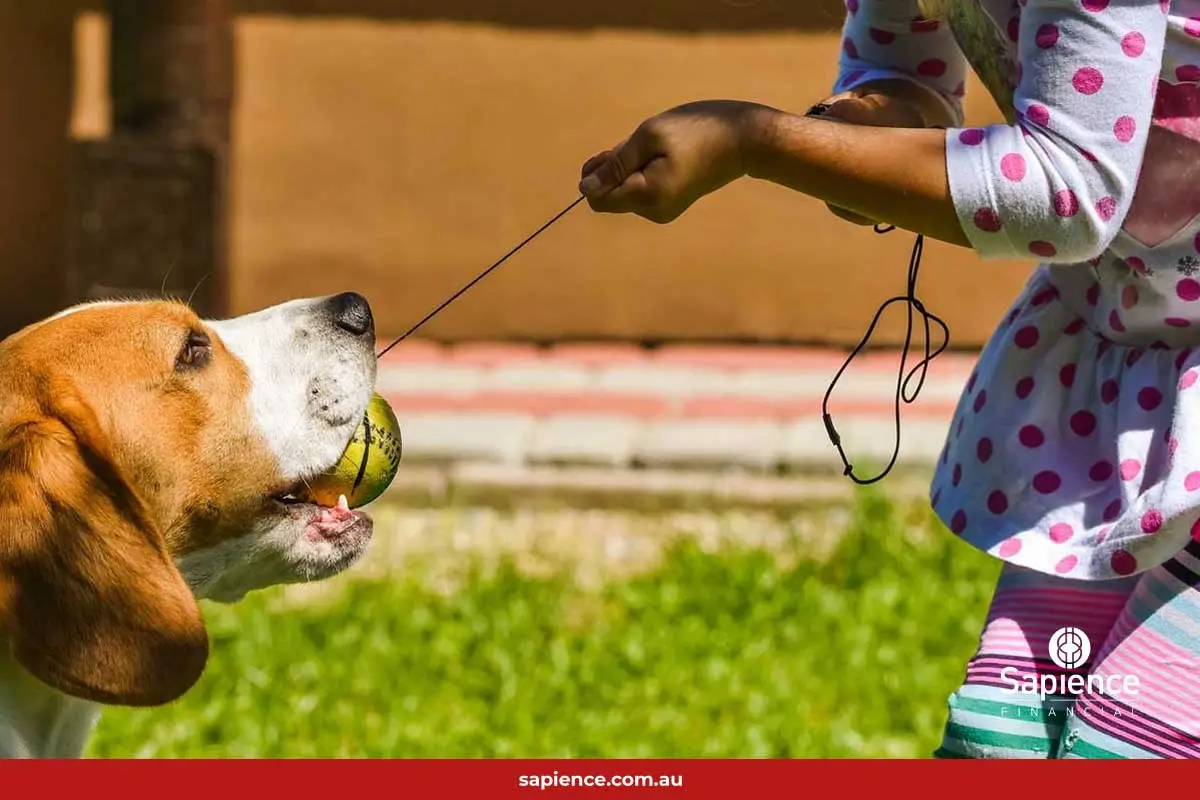 dog holding ball that young girl wants